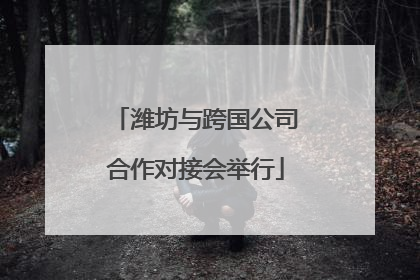 潍坊与跨国公司合作对接会举行